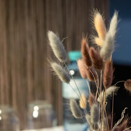 Amadea - Cityhotel Hotel 3*