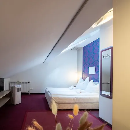 Amadea - Cityhotel ザルツブルク